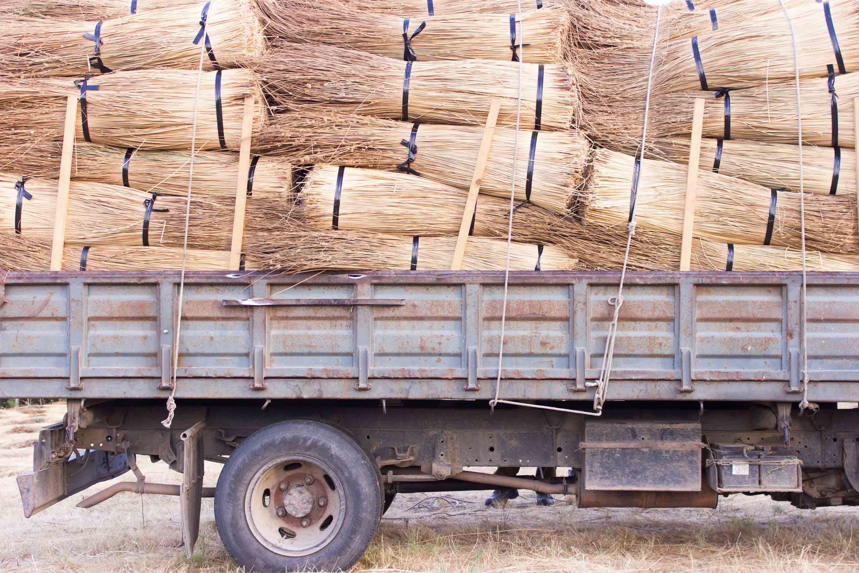 Camião transportando o junco que será utilizado para produzir as cestas da TOINO ABEL