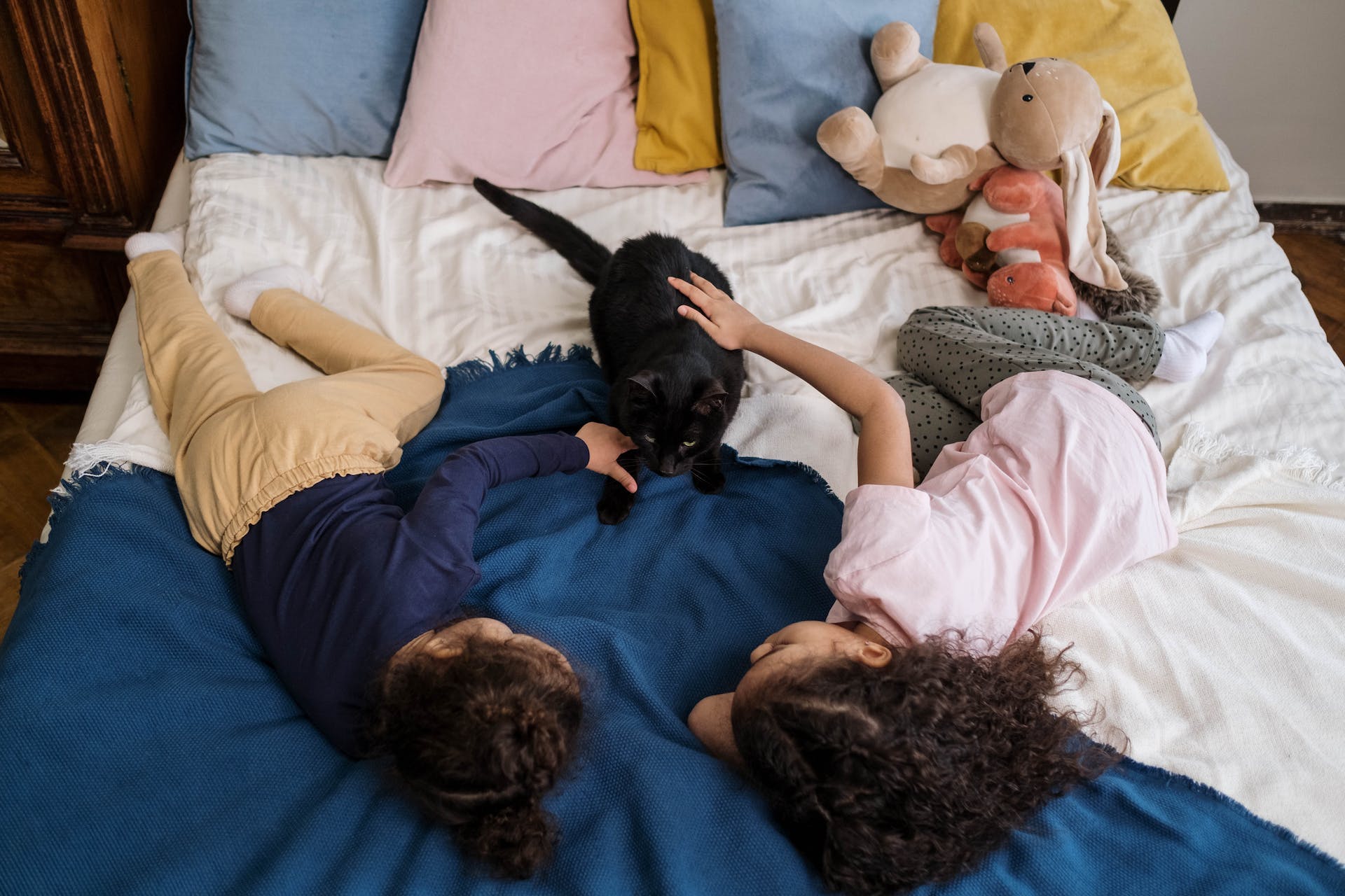 um menino e uma menina deitados na cama a acarinhar um gato preto