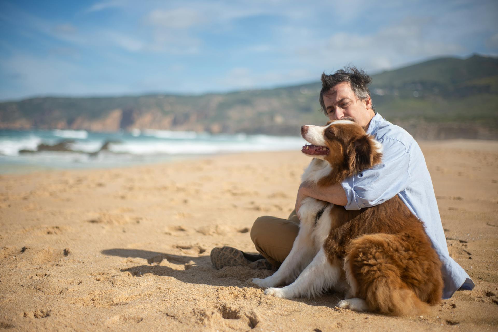 homem a abraçar cão castanho e branco enquanto estão sentados na praia