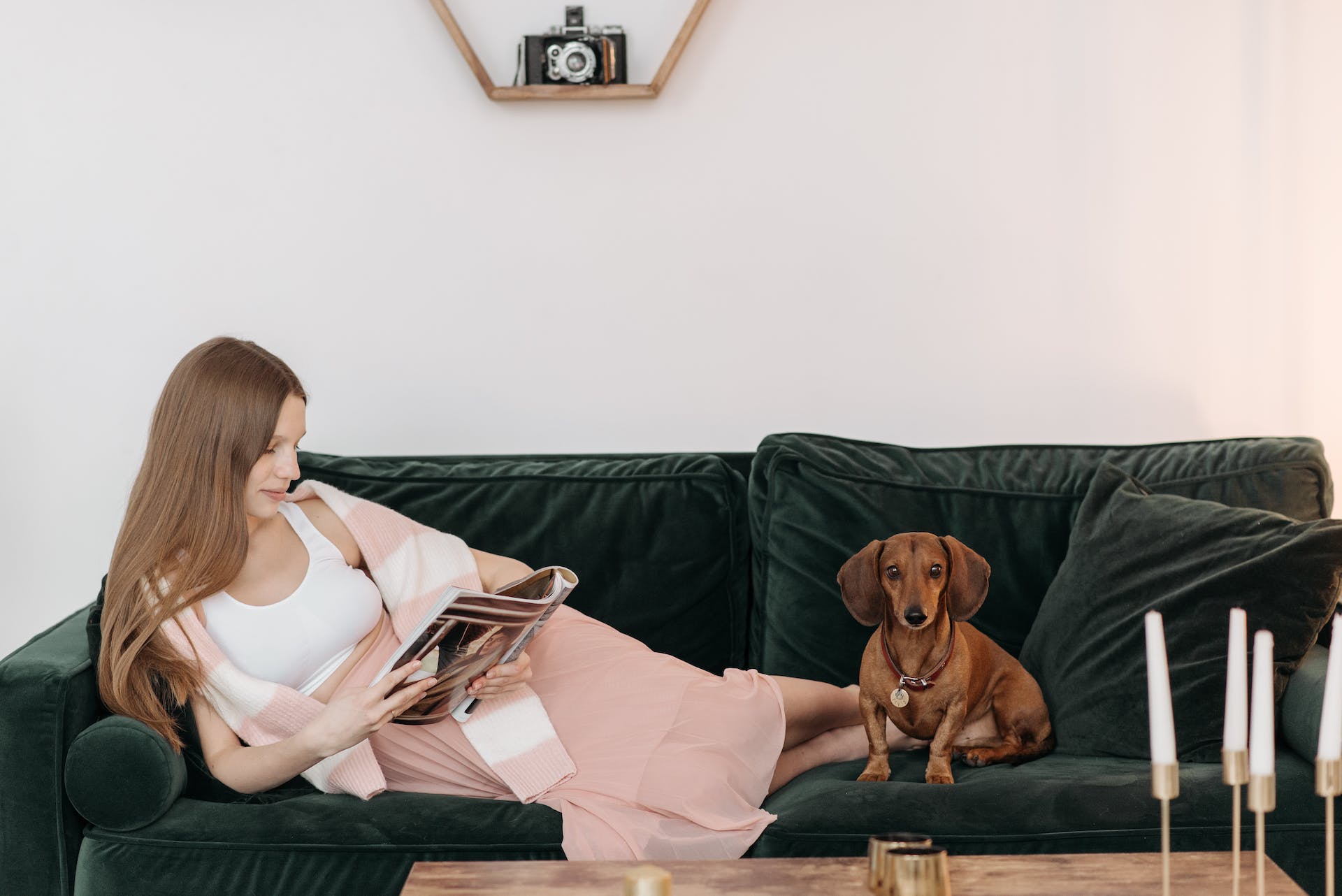 cão castanho sentado no sofá e mulher deitada no mesmo sofá a ler uma revista