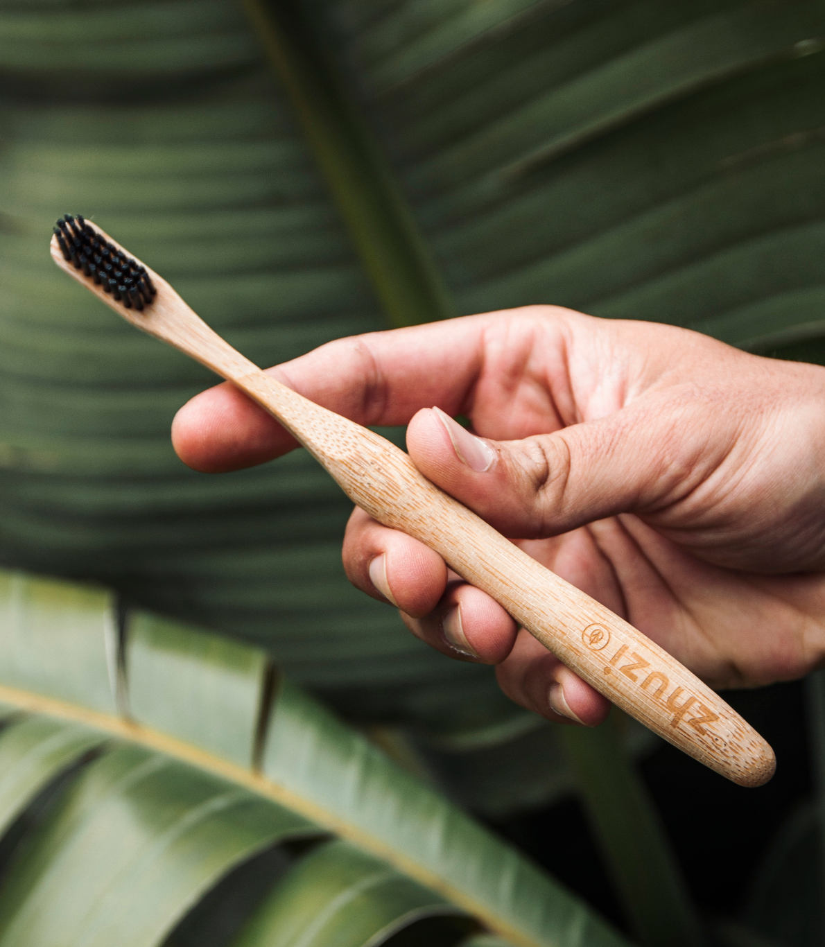 Na imagem observamos ao fundo umas folhas verdes grandes, e uma mão que agarra uma escova de dentes de bambu com cerdas pretas.