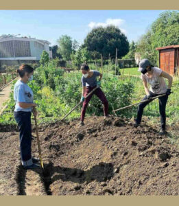 Três colaboradores do restaurante a trabalhar na horta. Duas raparigas cavam a terra, enquanto uma terceira as observa.